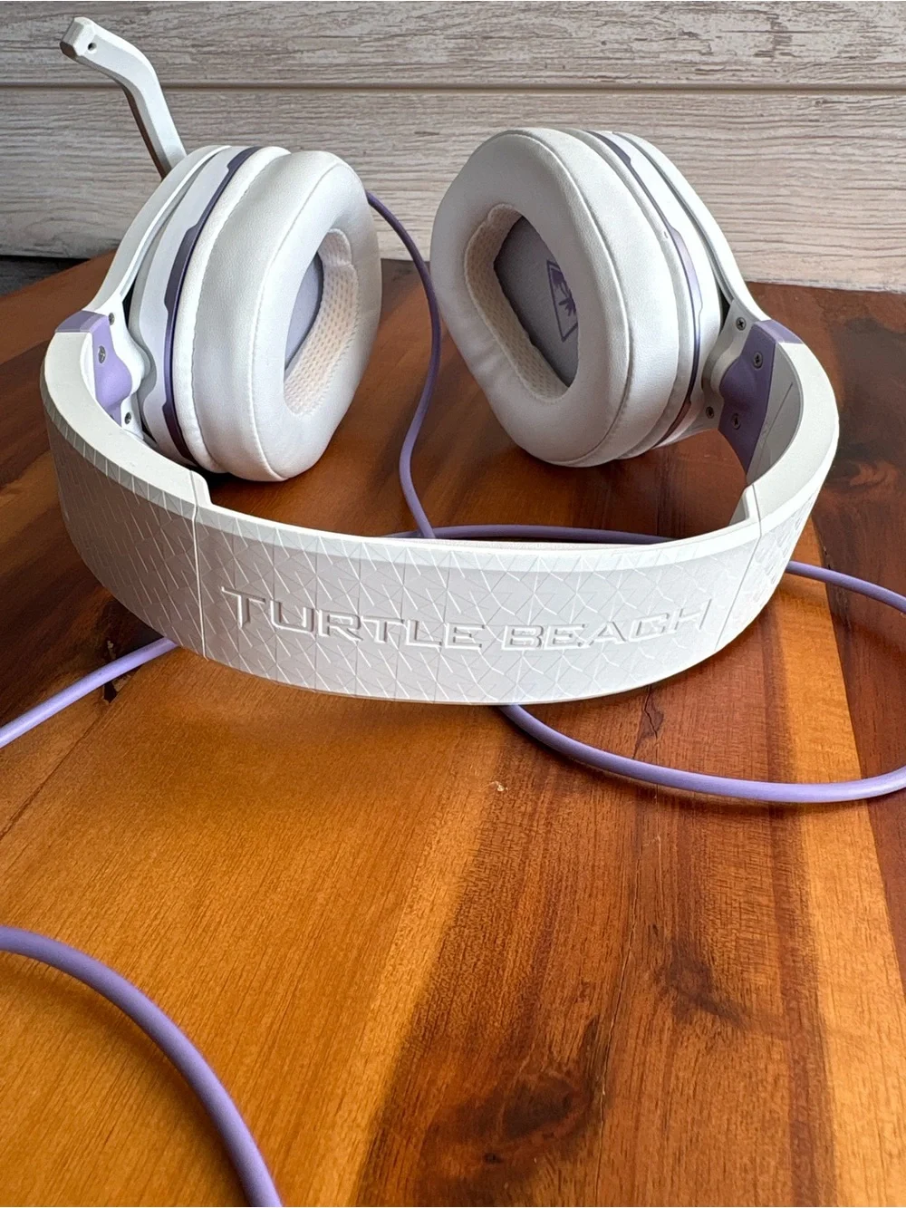 Turtle Beach brand turtle
